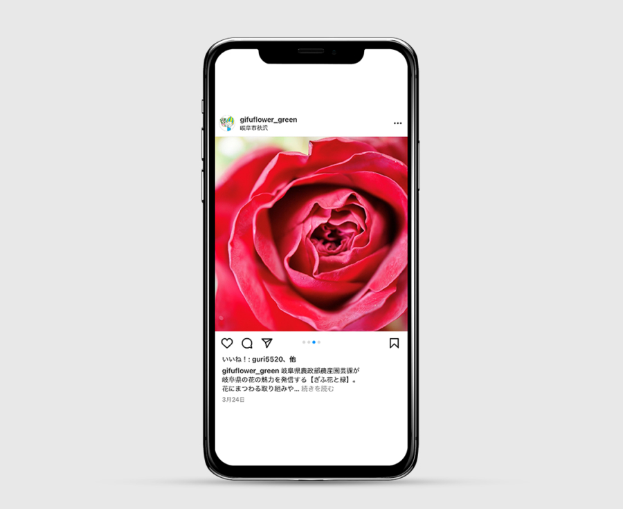 「ぎふ花と緑」SNS投稿